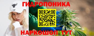 гашик Канаш