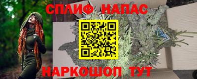 СК Камышлов
