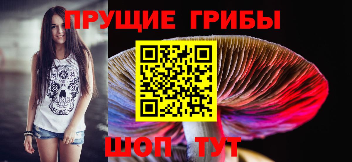Галлюциногенные грибы MAGIC MUSHROOMS Коммунар