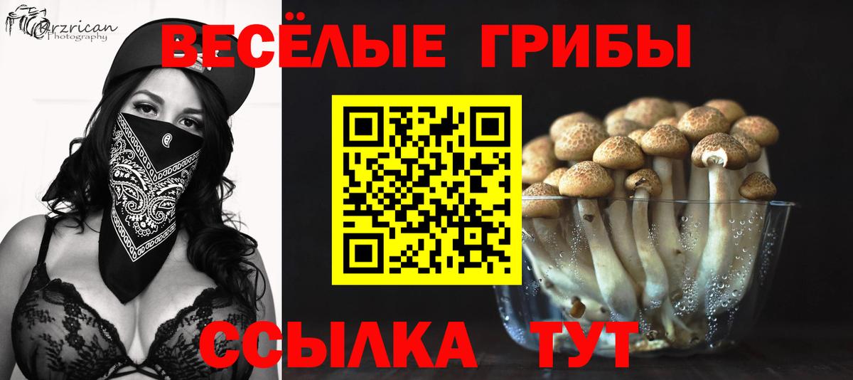 Коммунар  Галлюциногенные грибы ЛСД  Вход с VPN 